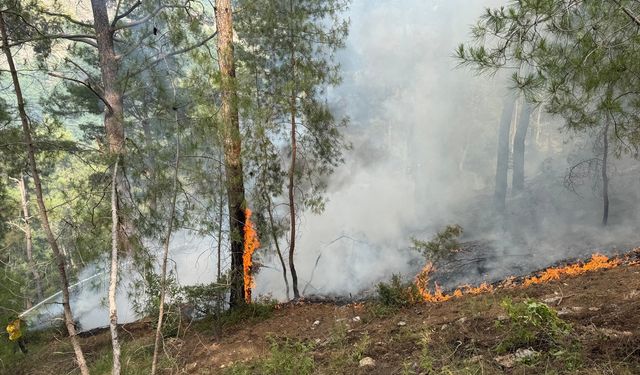 Antalya Kumluca'da çıkan orman yangını kontrol altına alındı