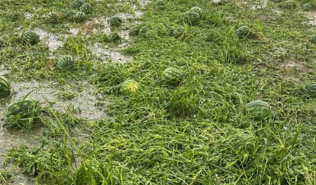 Antalya'da sağanak ve dolu seralara ve ürünlere zarar verdi