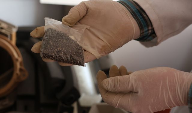 Atık çay lifleri plastiğe alternatif malzemeye dönüşüyor