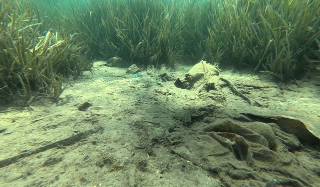 Bodrum'da dalgıçlar denizden 223 kilogram atık çıkardı