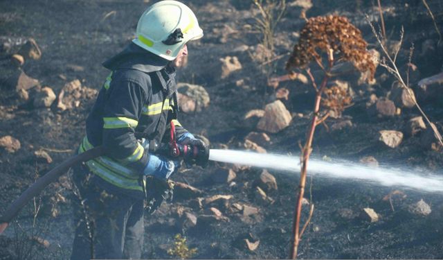 Bodrum'da otluk alanda çıkan yangın söndürüldü