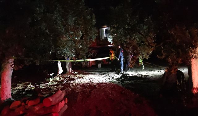 GÜNCELLEME - Bursa'da bir kişinin çiftlik evinde öldürülmesiyle ilgili iki şüpheli yakalandı