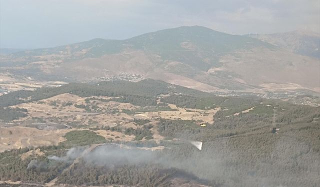 İzmir'in Aliağa ilçesinde ormanlık alanda çıkan yangına müdahale ediliyor