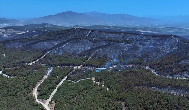 İzmir'de yanan orman alanı havadan görüntülendi