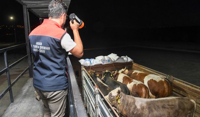 Kurban Bayramı öncesi hayvanlara yol denetim istasyonlarında sıkı kontrol