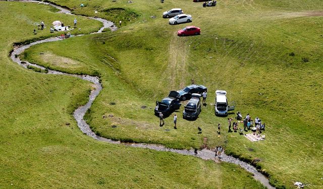Karadeniz'in zirvesindeki yaylalar ziyaretçilerini ağırlıyor