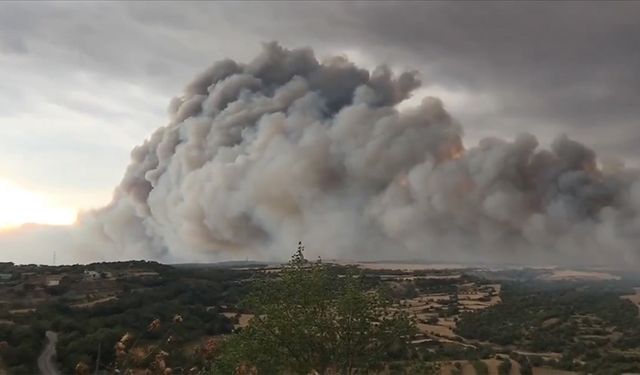 İspanya'daki iki yangında yaklaşık 6 bin 500 hektarlık arazi zarar gördü