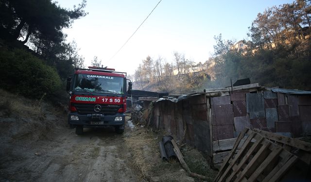 Çanakkale merkez ve Bayramiç'teki yangınlar büyük ölçüde kontrol altına alındı