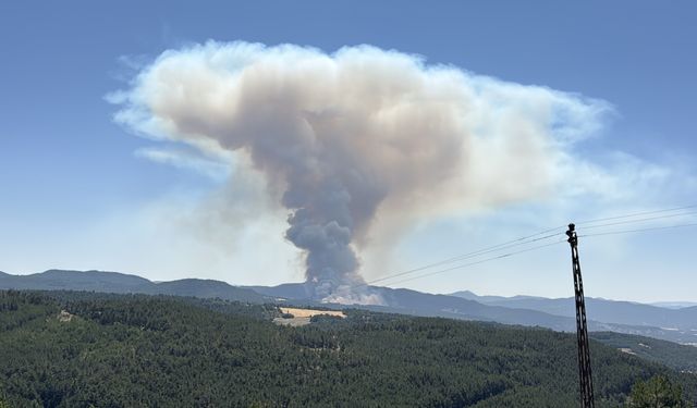 Bolu'da çıkan orman yangınına müdahale ediliyor