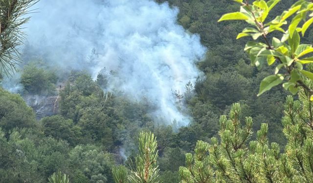 Bolu'da ormanlık alanda çıkan yangın kontrol altına alındı