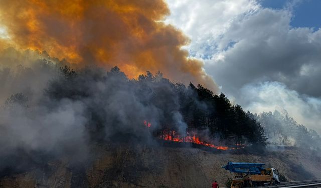 Bolu'da ormanlık alanda çıkan yangına müdahale ediliyor