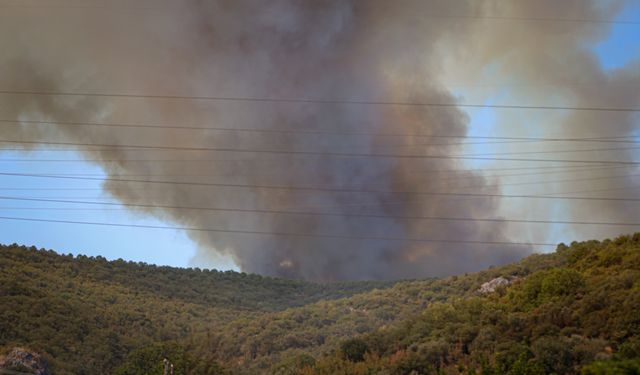 Bursa'da çıkan orman yangınına müdahale ediliyor