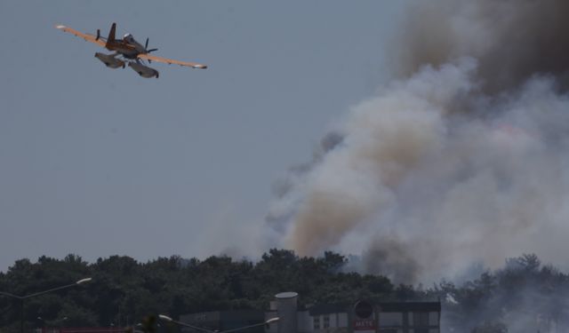 Çanakkale'de çıkan orman yangınına müdahale ediliyor