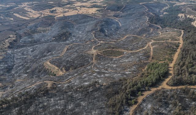 Çanakkale'de yangında zarar gören alanlar dronla görüntülendi