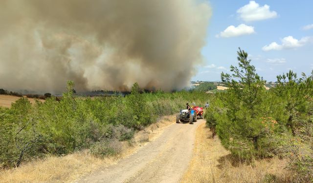Çanakkale'nin Bayramiç ilçesinde çıkan orman yangını nedeniyle 3 köy boşaltıldı