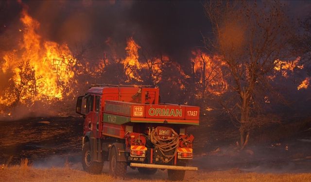 Çanakkale, Edirne, Hatay ve Manisa'daki orman yangınları tamamen kontrol altına alındı