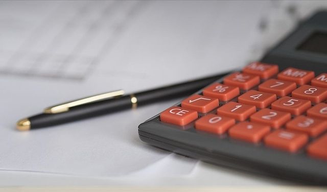 OVP ile dezenflasyon sürecinin kesintisiz bir şekilde devamı hedefleniyor