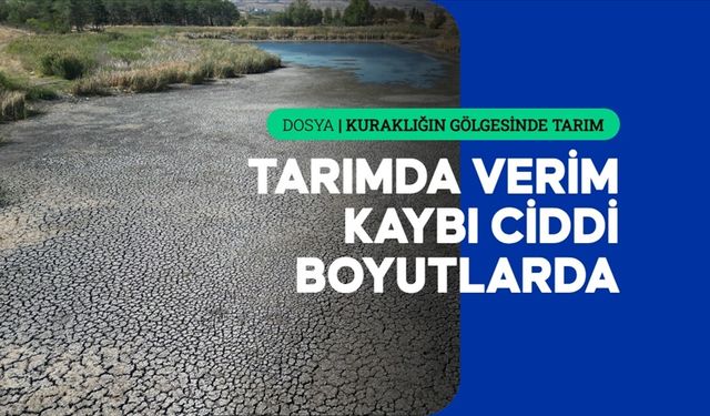 Kuraklık bu yıl birçok ürünü etkiledi