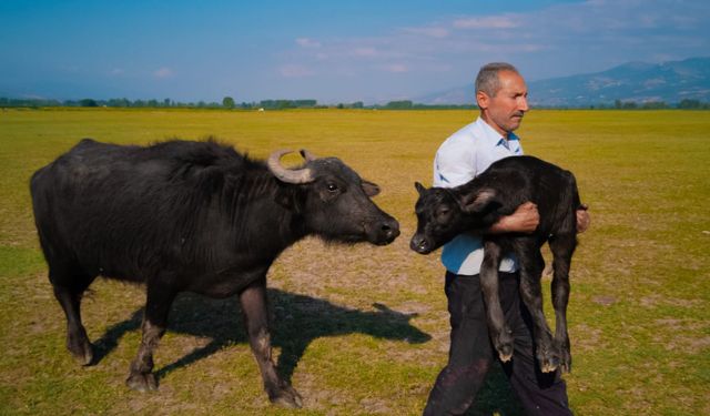 Huawei XMAGE 2025'te Türk fotoğrafçı dünya ikincisi oldu