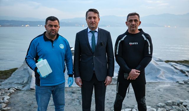 Sapanca Gölü'nde oluşan kabarcıkların su kalitesine zarar vermediği belirlendi