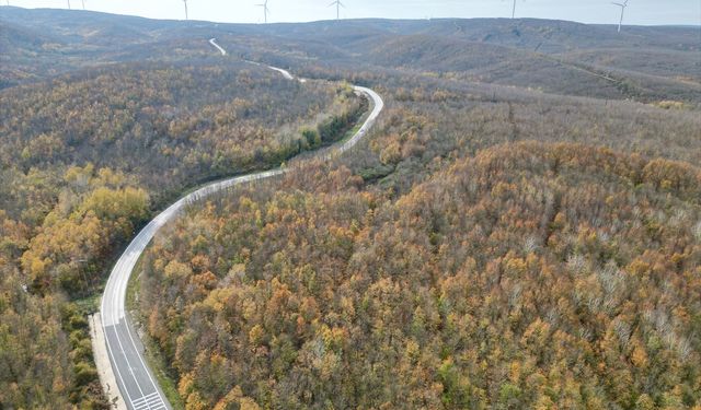 Tekirdağ'da ormanlar sonbahar renklerine büründü