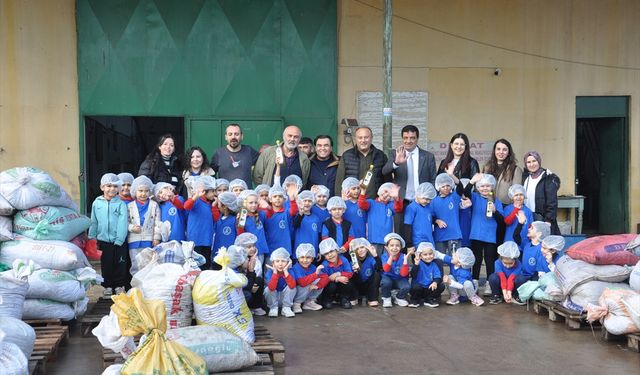Manisa'da anasınıfı öğrencileri okul bahçesinde zeytin toplayıp yağa dönüştürdü