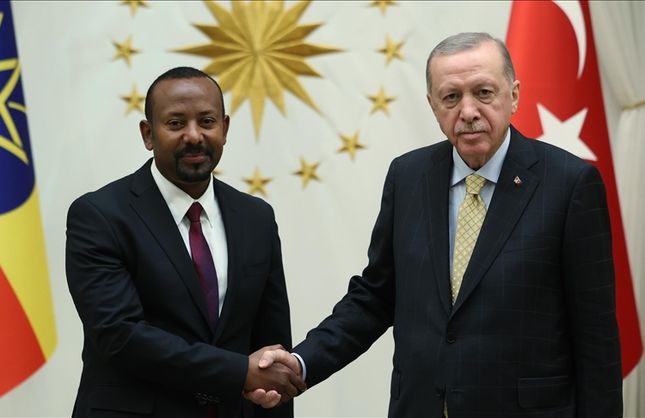 Türkiye-Afrika Boynuzu İlişkilerinde Yeni Bir Denge Arayışı