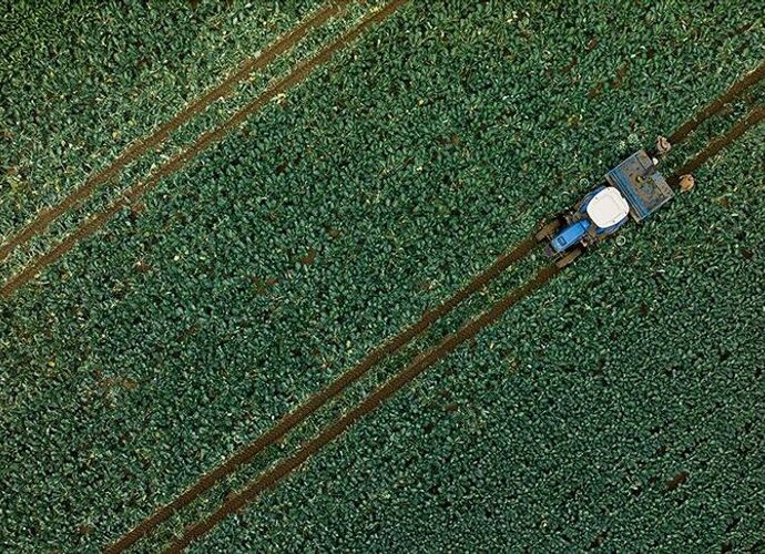 Son Yağışlar Üretime Can Suyu Oldu