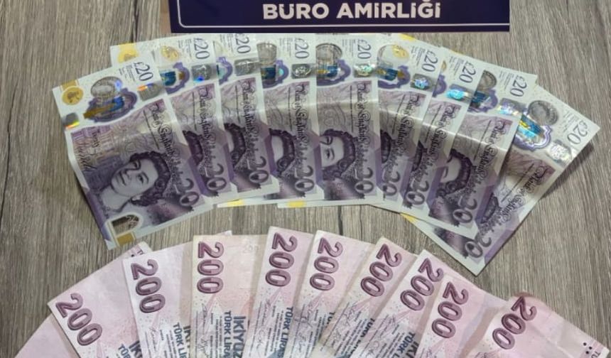 Bingöl'de hırsızlık zanlısı tutuklandı