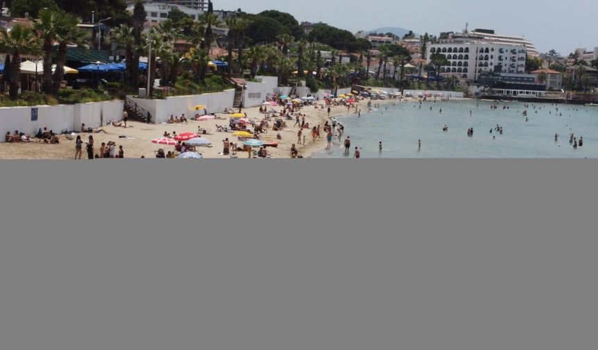 Denizseverler, Kuşadası ve Didim sahillerinde yoğunluk oluşturdu