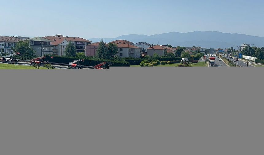 Düzce'de vinç operatörleri Filistin'e destek konvoyu düzenledi