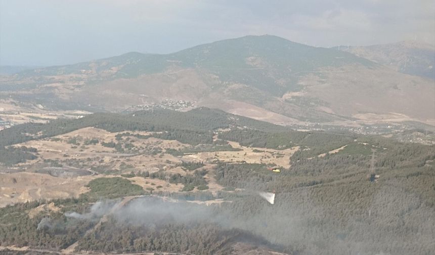İzmir'in Aliağa ilçesinde ormanlık alanda çıkan yangına müdahale ediliyor