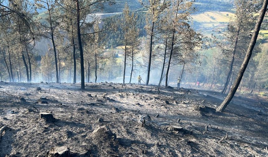 Balıkesir'de çıkan orman yangını kontrol altına alındı
