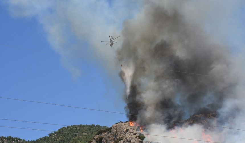 Bodrum'da çıkan orman yangınına müdahale ediliyor