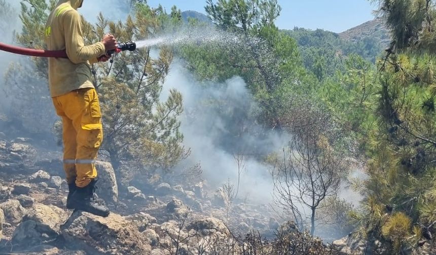 Bodrum'da makilik ve otluk alanda çıkan yangın kontrol altına alındı