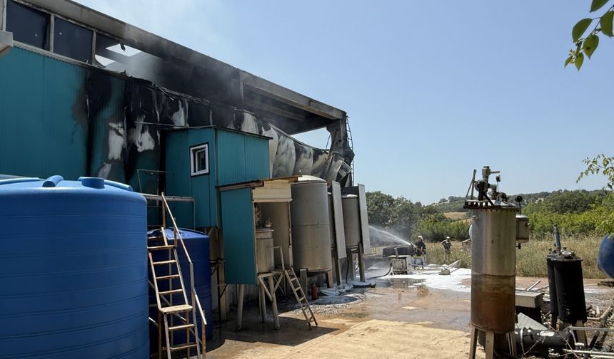 Çanakkale'de bir fabrikada patlama sonrası çıkan yangında 1 kişi yaralandı