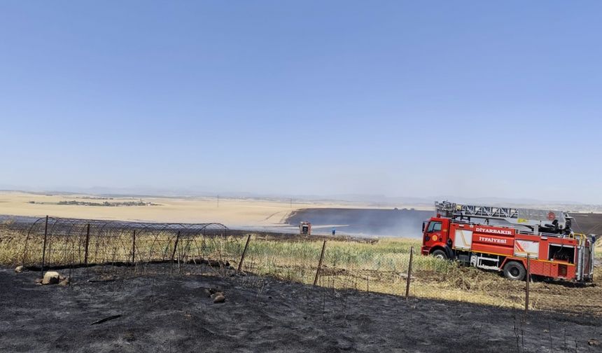 Diyarbakır'da çıkan yangında yaklaşık 1000 dekar buğday ve arpa ekili alan zarar gördü