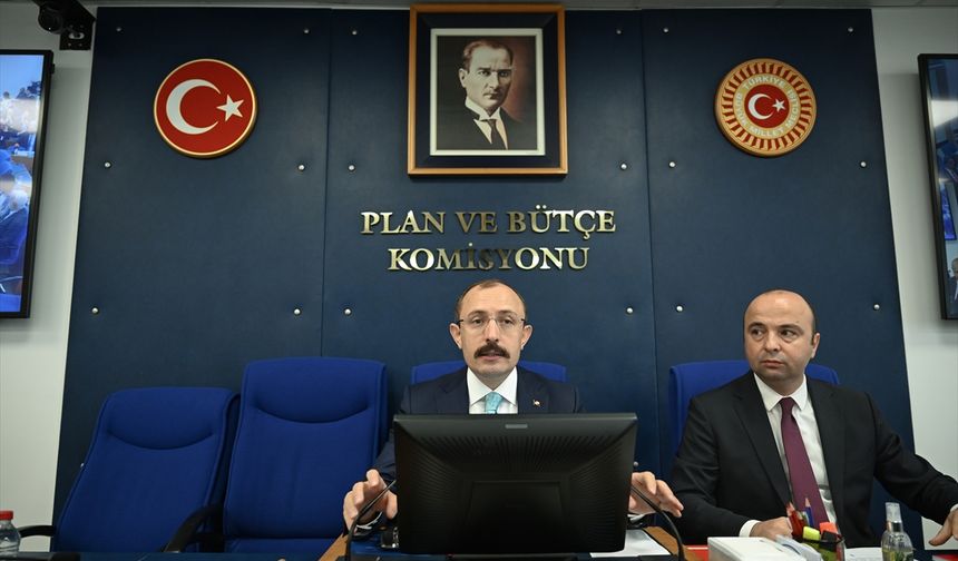 Ekonomiye ilişkin düzenlemeler içeren kanun teklifi TBMM Plan ve Bütçe Komisyonunda