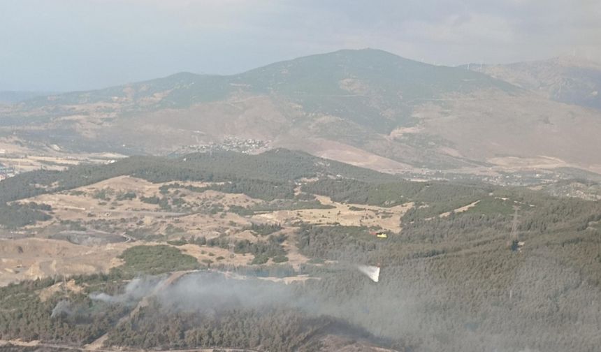 İzmir'in Aliağa ilçesinde çıkan orman yangını kontrol altına alındı
