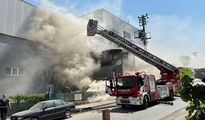 Kocaeli'de marketin deposunda çıkan yangın söndürüldü