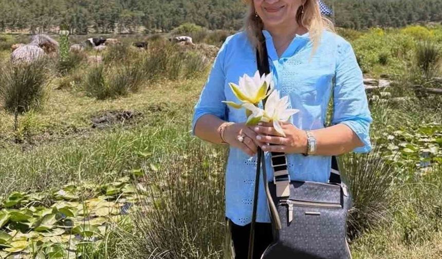 Köyceğiz Gölü'nde yetişen beyaz nilüfer çiçeği doktora tezi konusu oldu