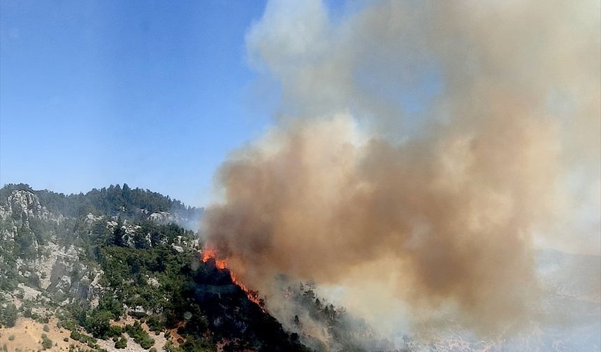 Mersin'de çıkan orman yangını kontrol altına alındı