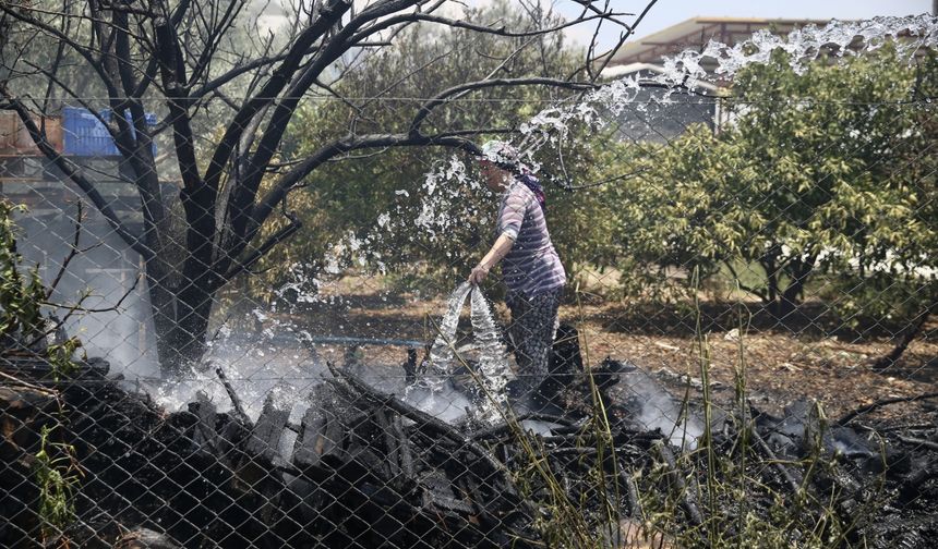 Muğla'da odunlukta başlayıp zeytinliğe sıçrayan yangın söndürüldü