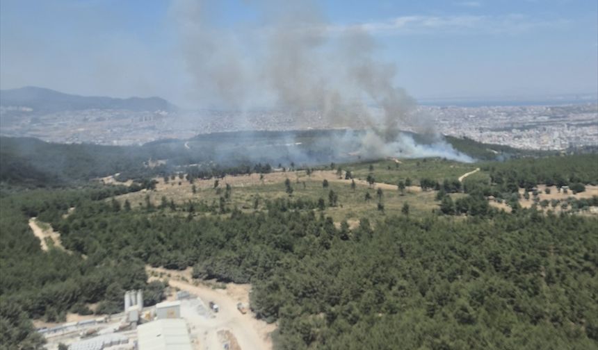 İzmir'in Buca ilçesinde çıkan orman yangınına müdahale ediliyor