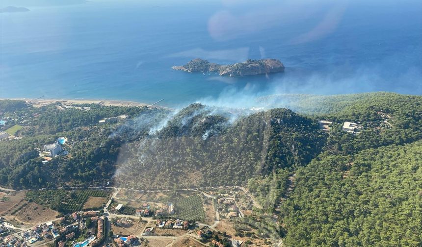 Muğla'da çıkan orman yangınına müdahale ediliyor