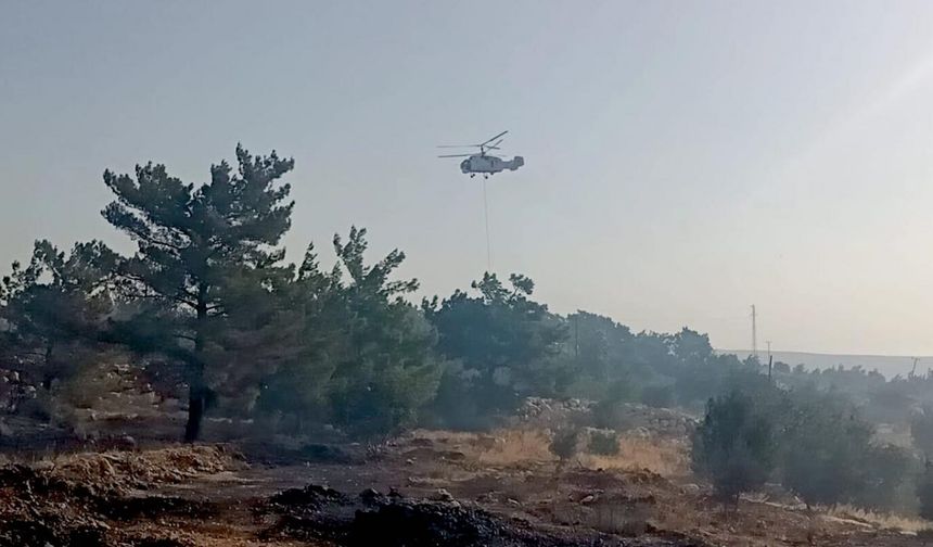 Mersin'in Silifke ilçesinde çıkan orman yangınına müdahale ediliyor