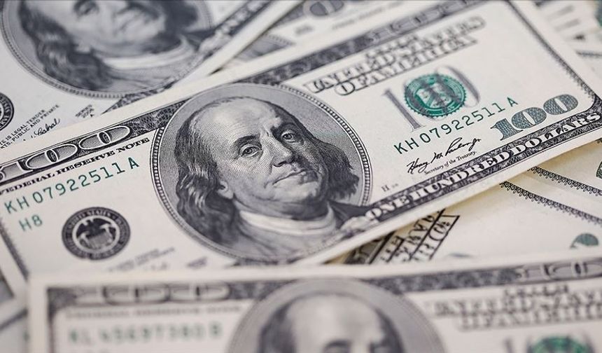 Reel efektif döviz kuru endeksi haziranda 69,97 oldu