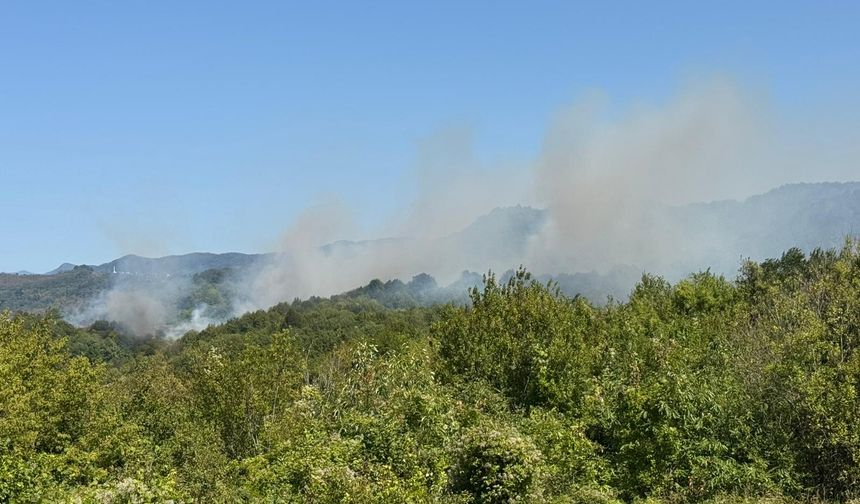 Bartın'da ormanlık alanda çıkan yangına müdahale ediliyor
