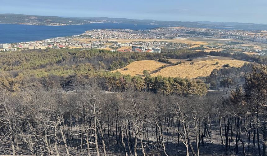 Çanakkale'de büyük oranda kontrol altına alınan yangına müdahale 2. gününde sürüyor
