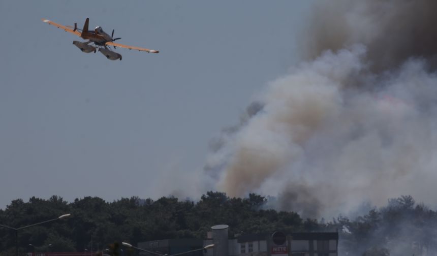Çanakkale'de çıkan orman yangınına müdahale ediliyor